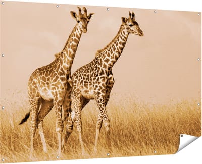 Gards Tuinposter Twee Giraffes in het Veld - 180x120 cm - Tuindoek - Tuindecoratie - Wanddecoratie buiten - Tuinschilderij