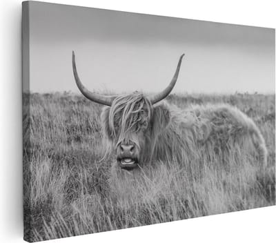 Artaza Canvas Schilderij Hooglander - 30x20 cm - Klein - Muurdecoratie Grasveld - Wanddecoratie Woonkamer - Kamer Accessoires