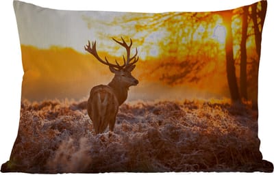 Buitenkussens - Tuin - Hert - Dieren - Zonsondergang - Winter - Heide - Natuur - 50x30 cm