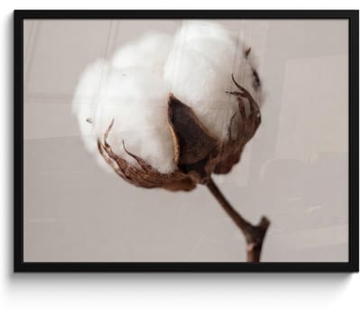 Poster in lijst - Fotolijst 80x60 cm - Posters - Katoenbol - Minimalistisch - Wit - Posterlijst zwart - Decoratie - Wanddecoratie woonkamer - Muurdecoratie slaapkamer