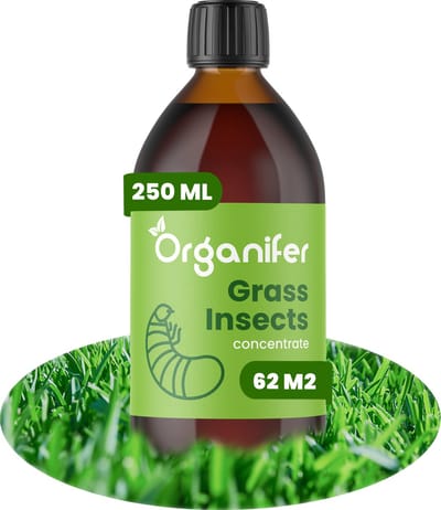 Grass Insects Concentraat (250ml, 62,5m2) - Engerlingen - Larven van Rouwvliegjes - Bodeminsecten - Emelten - Organifer