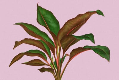 Fotobehang leafgarden3 DD121956 Livingwalls Walls by Patel 3 Paars Bruin Vlies 270 x 400 cm (4 delen) 3D Fotobehang op maat