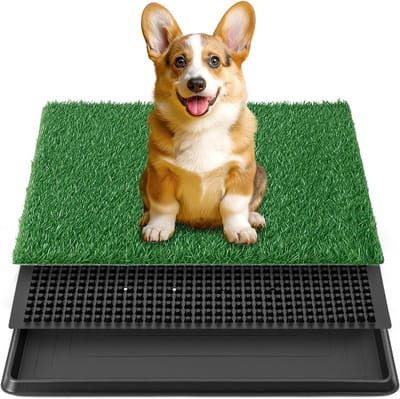 Kunstgras Honden Toilet - Hondenplasmat - Zindelijkheidstraining - Voor Kleine Honden - 50x60cm - Zwart