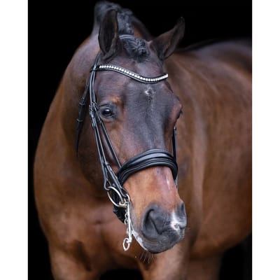 Gecombineerd hoofdstel met neusriem Imperial Riding Athena