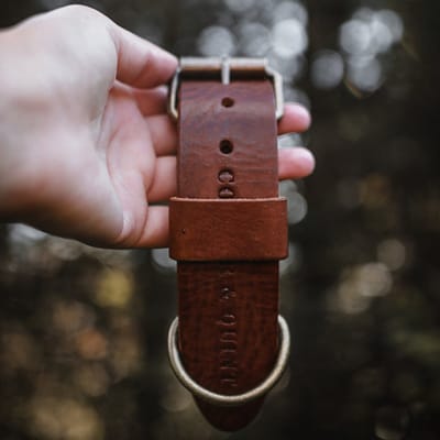 Cooper & Quint Bold Brede Leren Halsband - Bruin - Small - 3 cm - Oud Messing