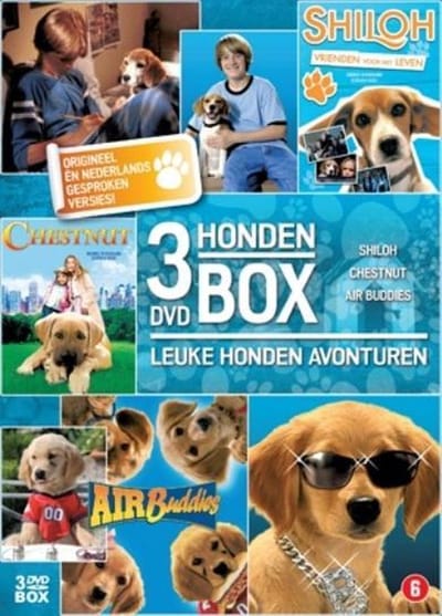 Hondenbox
