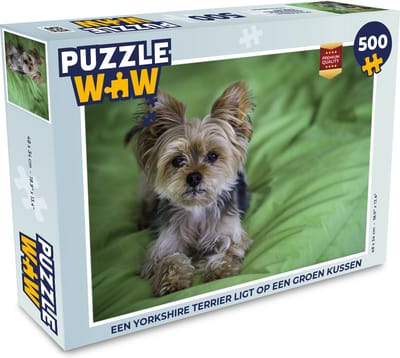 Puzzel Een Yorkshire Terrier ligt op een groen kussen - Legpuzzel - Puzzel 500 stukjes