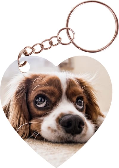 Sleutelhanger hartje 5x5cm - Cocker Spaniel Liggend