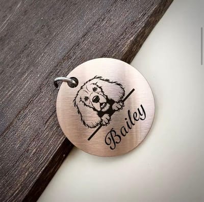 Hondenpenning met Hondenkop | Ronde Hondenpenning met Hondenkop graveren | Champagne / Bronskleurig | Gegraveerde Hondenkop Penning | Petshop Seven®