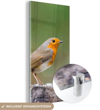 MuchoWow® Glasschilderij 20x40 cm - Schilderij acrylglas - Dieren - Vogel - Roodborstje - Foto op glas - Schilderijen
