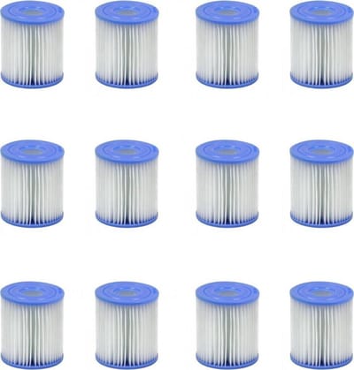 Intex filtercartridges H - set van 12 stuks