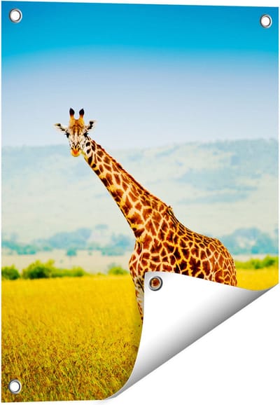 Gards Tuinposter Giraffe in het Veld - 40x50 cm - Tuindoek - Tuindecoratie - Wanddecoratie buiten - Tuinschilderij