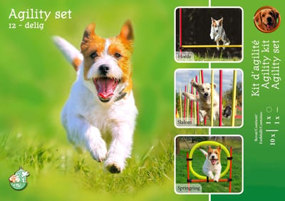 De Boon Agility Set 6x Stok + Springring en horde
