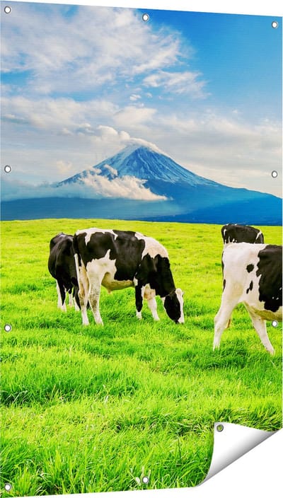 Gards Tuinposter Koeien in de Wei - 80x120 cm - Tuindoek - Tuindecoratie - Wanddecoratie buiten - Tuinschilderij