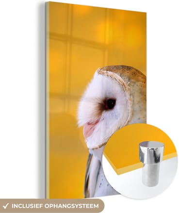 MuchoWow® Glasschilderij 40x60 cm - Schilderij acrylglas - Uil - Geel - Dier - Foto op glas - Schilderijen