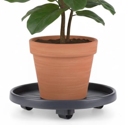Lomera Plantentrolley Kunststof - Antraciet Kleur - Plantenonderzetter Rond - Planten Trolley - Plantenroller - Plantenwagen - Plantenkar