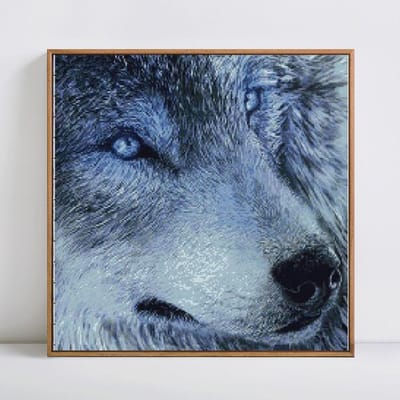 Diamant schilderij volledige ronde Wolf hoofd diamant mozaïek dier diamant borduurwerk 30x30CM