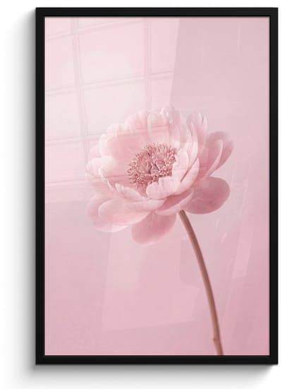Poster in lijst - Fotolijst 60x90 cm - Posters - Bloem - Pioenroos - Roze - Posterlijst zwart - Decoratie - Wanddecoratie woonkamer - Muurdecoratie slaapkamer