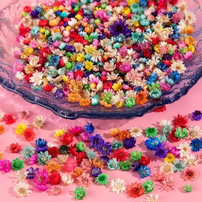 420 Pieces Dried Flowers for Artificial Resin - Nails - Jewelry - Earrings - Real Natural Small Pressed Flowers for Art Crafts