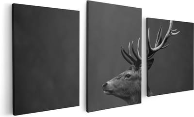 Artaza Canvas Schilderij Drieluik Hertenkop - Hert - Zwart Wit - 120x60 - Foto Op Canvas - Canvas Print