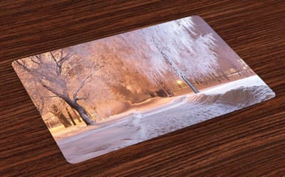 ABAKUHAUS winterplacemats, nachtelijke scène bevroren bomen, wasbare stof eetkamerkeukentafeldecoratie digitale print, witte crème