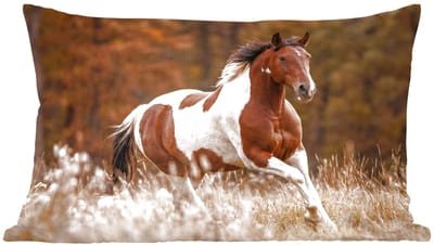 Sierkussens - Kussentjes Woonkamer - 60x40 cm - Paard - Bruin - Gras