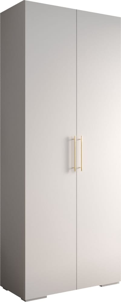 Opbergkast Kledingkast met 2 draaideuren Garderobekast slaapkamerkast Kledingstang met planken | Gouden Handgrepen, elegante kledingkast, glamoureuze stijl (LxHxP): 100x237x47 cm - IVONA 3 (Wit, 100 cm)