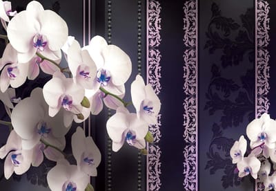 Fotobehang Flowers Floral Orchids Pattern | XL - 208cm x 146cm | 130g/m2 Vlies