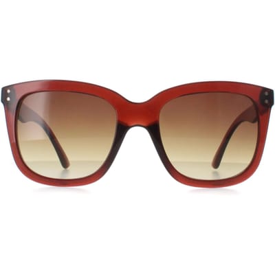 Calvin Klein CK22550S 210 transparant bruin zonnebril met kleurverloop