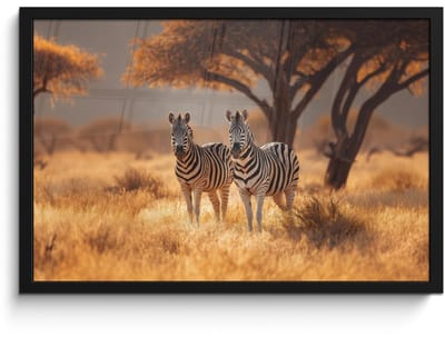 Poster in lijst - Fotolijst 60x40 cm - Posters - Zebra's - Savannelandschap - Gras - Posterlijst zwart - Decoratie - Wanddecoratie woonkamer - Muurdecoratie slaapkamer