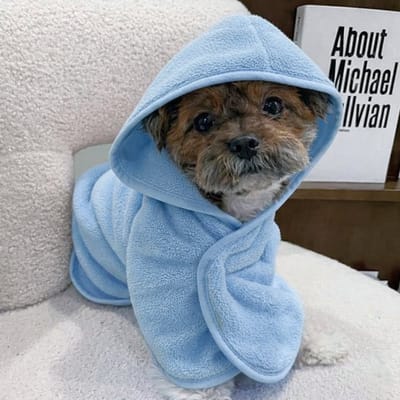 Ultiluxe® Hondenbadjas - Maat S - Blauw - Sneldrogend, zacht, absorberend - Microvezel honden badjas - Handdoek na een bad - Verstelbaar met capuchon - Droog maken hond - Ochtendjas met klittenband - Huisdieren