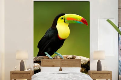 Behang - Fotobehang Vogel - Toekan - Regenboog - Groen - Tak - Breedte 170 cm x hoogte 260 cm