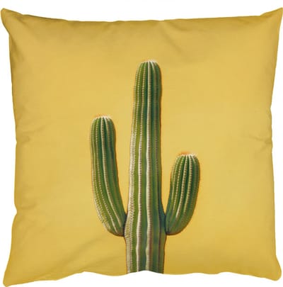 Sierkussens - Kussentjes Woonkamer - 50x50 cm - Cactus - Groen - Minimalistisch