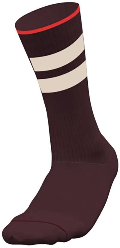 The Mountain Studio Hike Stripe Crewsokken Paars EU 37-40