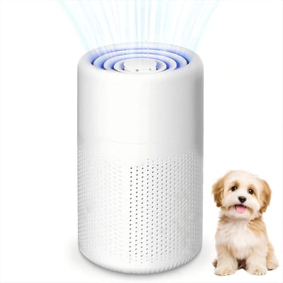 HEPA Luchtreiniger - Wit - 12 x 12 x 20 cm - Compact Luchtfilter met USB-aansluiting en Aromatherapie - Voor Allergieën en Huisdiereigenaren