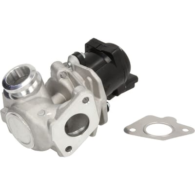 EGR-klep DELPHI EG10507-12B1