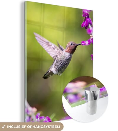 MuchoWow® Glasschilderij 30x40 cm - Schilderij acrylglas - Kolibrie - Vogel - Bloemen - Natuur - Foto op glas - Schilderijen
