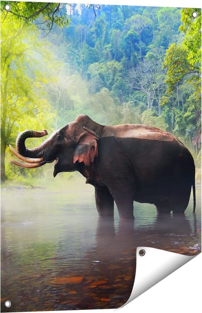Gards Tuinposter Olifant in het Water - 60x80 cm - Tuindoek - Tuindecoratie - Wanddecoratie buiten - Tuinschilderij