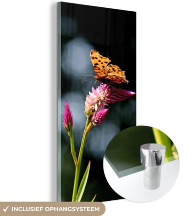 MuchoWow® Glasschilderij 20x40 cm - Schilderij acrylglas - Vlinder - Bloemen - Insecten - Foto op glas - Schilderijen
