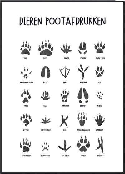 No Filter Dieren Voetsporen Poster - 30x40 cm (A3 formaat) - Pootafdrukken - Dierensporen - Kinderkamer Educatief