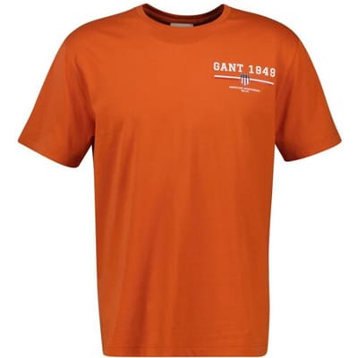 Gant T-Shirt Graphic Crew Neck Short Sleeve Deep Orange / male