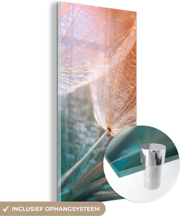 MuchoWow® Glasschilderij 20x40 cm - Schilderij acrylglas - Bloem - Paardenbloem - Plant - Foto op glas - Schilderijen