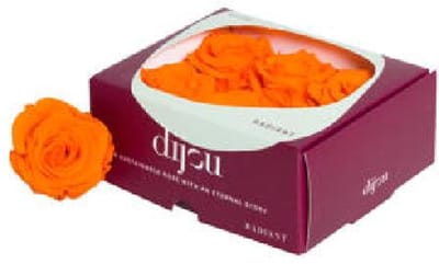 6x Dc pres.rozen orange 1505c