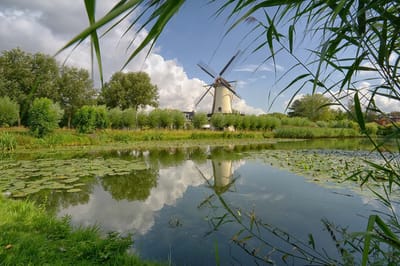 fotobehang molen Zuiderpark Rotterdam 450 x 260 cm - € 295,--