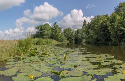 Fotobehang Riviertje de Meije Woerdense Verlaat 250 x 260 cm - € 175,--