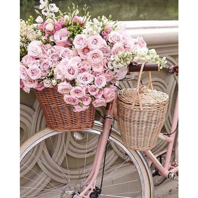 5D DIY diamant schilderij landschap diamant borduurwerk fiets & bloem volledige boor mozaïek kruissteek 20X30CM white