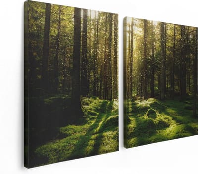 Artaza Canvas Schilderij Tweeluik Bos met Groen Mos op de Grond - 120x80 - Foto Op Canvas - Canvas Print