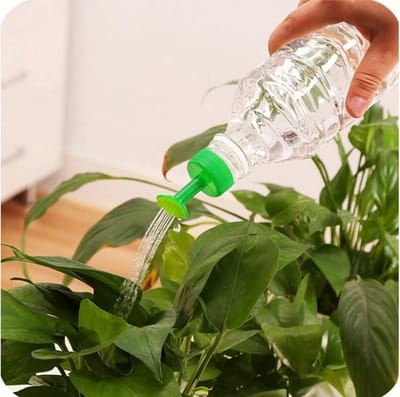 CHPN - Gieter - Flessengieter - Gieterdop - Plantenfles - Gieterfles - Broeskop - Groen - Plantenspuit -