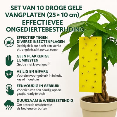 Ferrarium gele vangplaten 10x25cm 10 stuks - gele vangplaat tegen insecten - ongedierteval - monitor vlieginsecten - rouwvliegjes bestrijding - fruitvliegjes vangplaat - varenrouwmug bestrijden - witte vlieg bestrijden - vliegenvanger