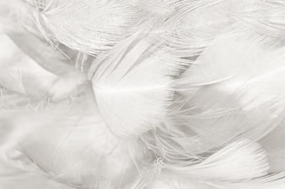 Kristal Helder Galerie kwaliteit Plexiglas 5mm.- Blind Aluminium Ophang-frame- Fotokunst- luxe wanddecoratie- Akoestisch en UV Werend- inclusief verzending